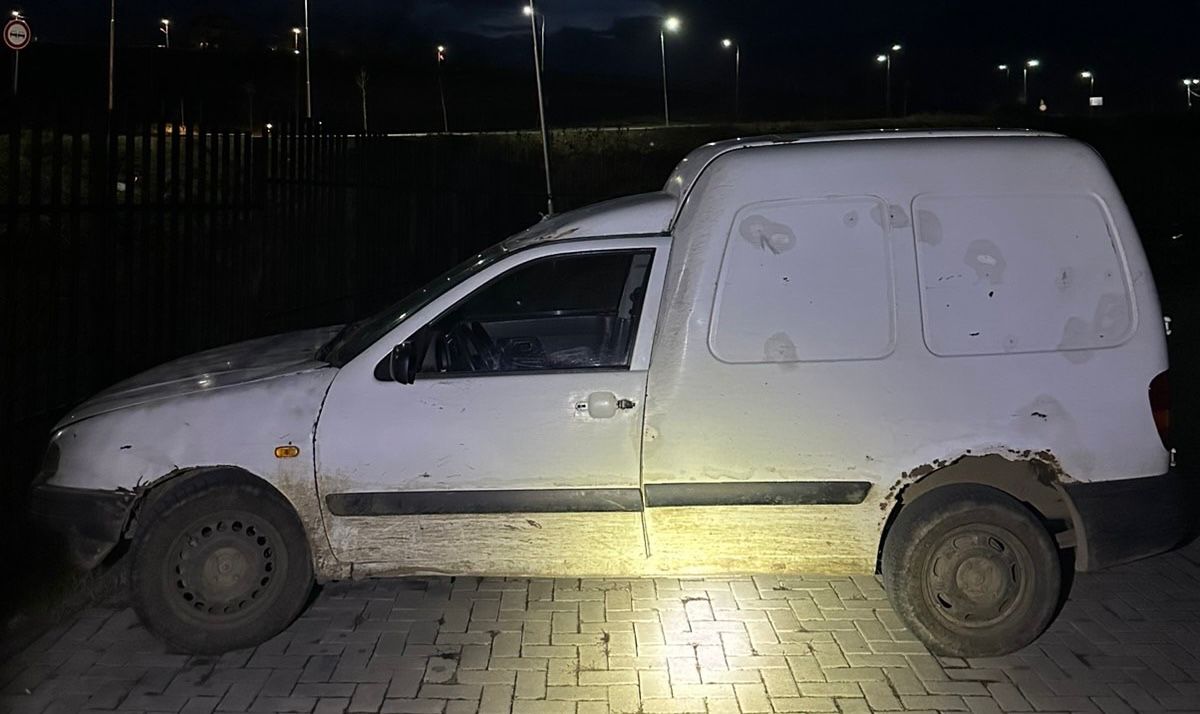 Armë pa leje, bagëti të dëmtuara dhe veturë e paregjistruar, 36-vjeçari nën hetime