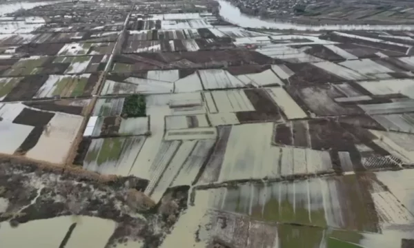 Moti i keq në Shkodër, 266 hektarë nën ujë