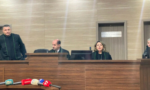 Nëna e binjakëve që iu vranë gjatë luftës kërkon dënim të përjetshëm për Millosh Pleskoviq