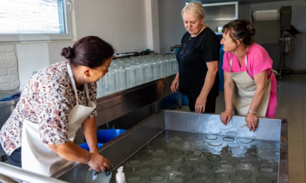 Bizneset përballen me mungesë uji, çmime të larta të energjisë dhe infrastrukturë të dobët