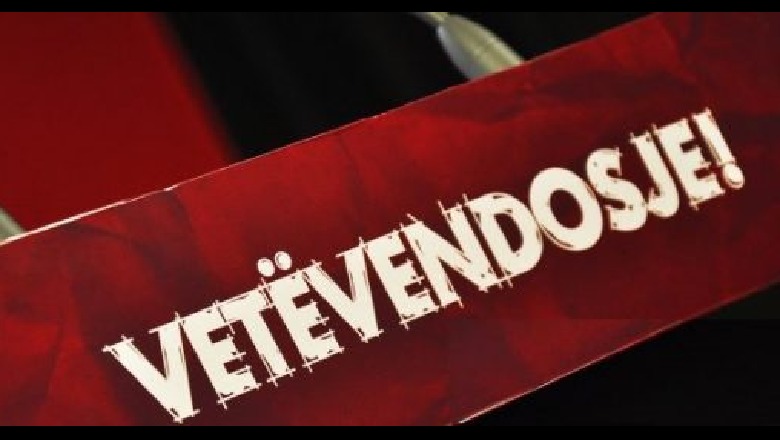 Propaganda politike në internet: Aktivizimi i llogarive pro LVV-së në rrjete sociale