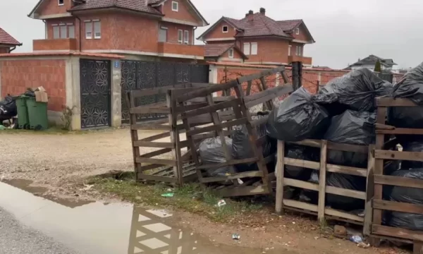“Nuk kemi kamion”, kompania lë pa mbledhur mbeturinat në Gllamnik
