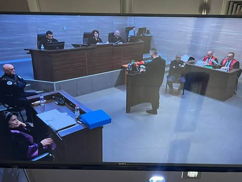 Nis seanca për vrasjen e Liridona Ademajt, jep mbrojtjen i akuzuari Kushtrim Kokalla