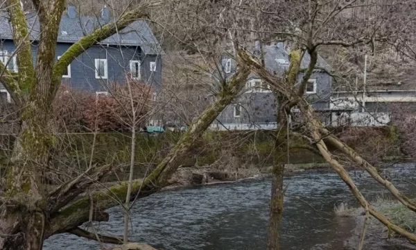 Vdes në Gjermani një 3-vjeçar nga Peja, dyshohet se ra në lum