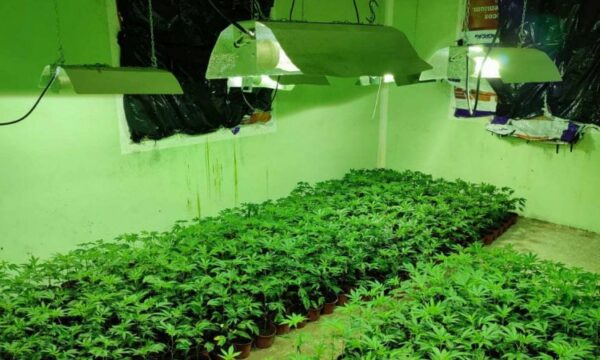 Laboratori i drogës që u zbulua sot në një fshat të Pejës ishte i kyçur ilegalisht në rrjetin elektrik, KEDS në vendngjarje