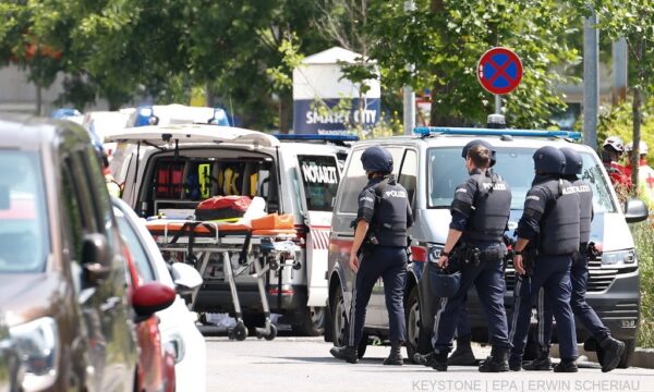 Detaje tronditëse për vrasjen brutale të gruas nga Kosova nga ish-burri shqiptar në Austri