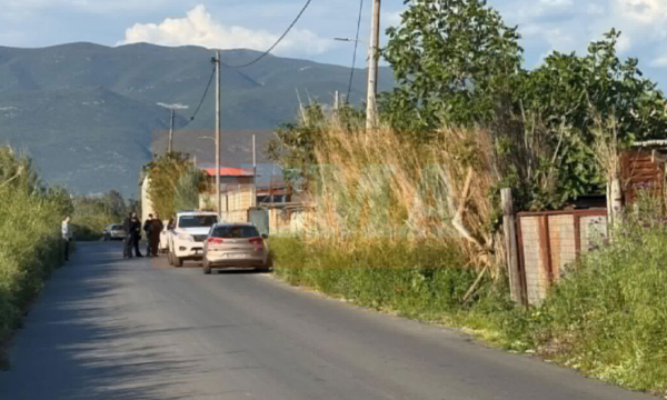 Shqiptari gjendet i vdekur në Greqi me plagë në kokë nga arma e zjarrit