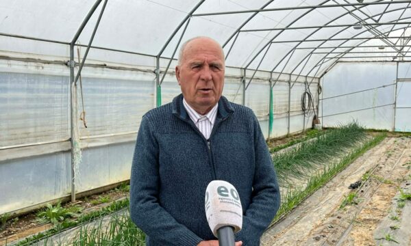 Tahiri: Çmimet e derivateve rrezikojnë të lënë toka djerrë
