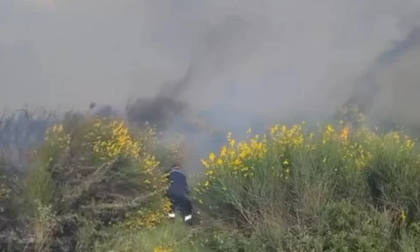 Zjarr në Vlorë, era e fortë përhap me shpejtësi flakët në kodra dhe zonat me ullishte