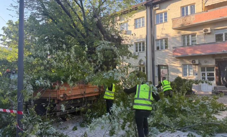Erërat e forta shkaktojnë 17 intervenime në Prishtinë, këto janë dëmet