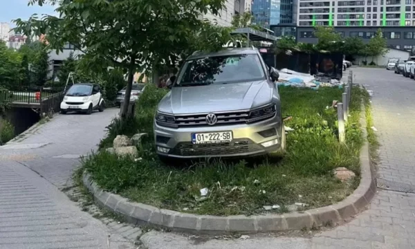 Parkoi veturën në zonë të gjelbëruar, komuna e ndëshkon me gjobë
