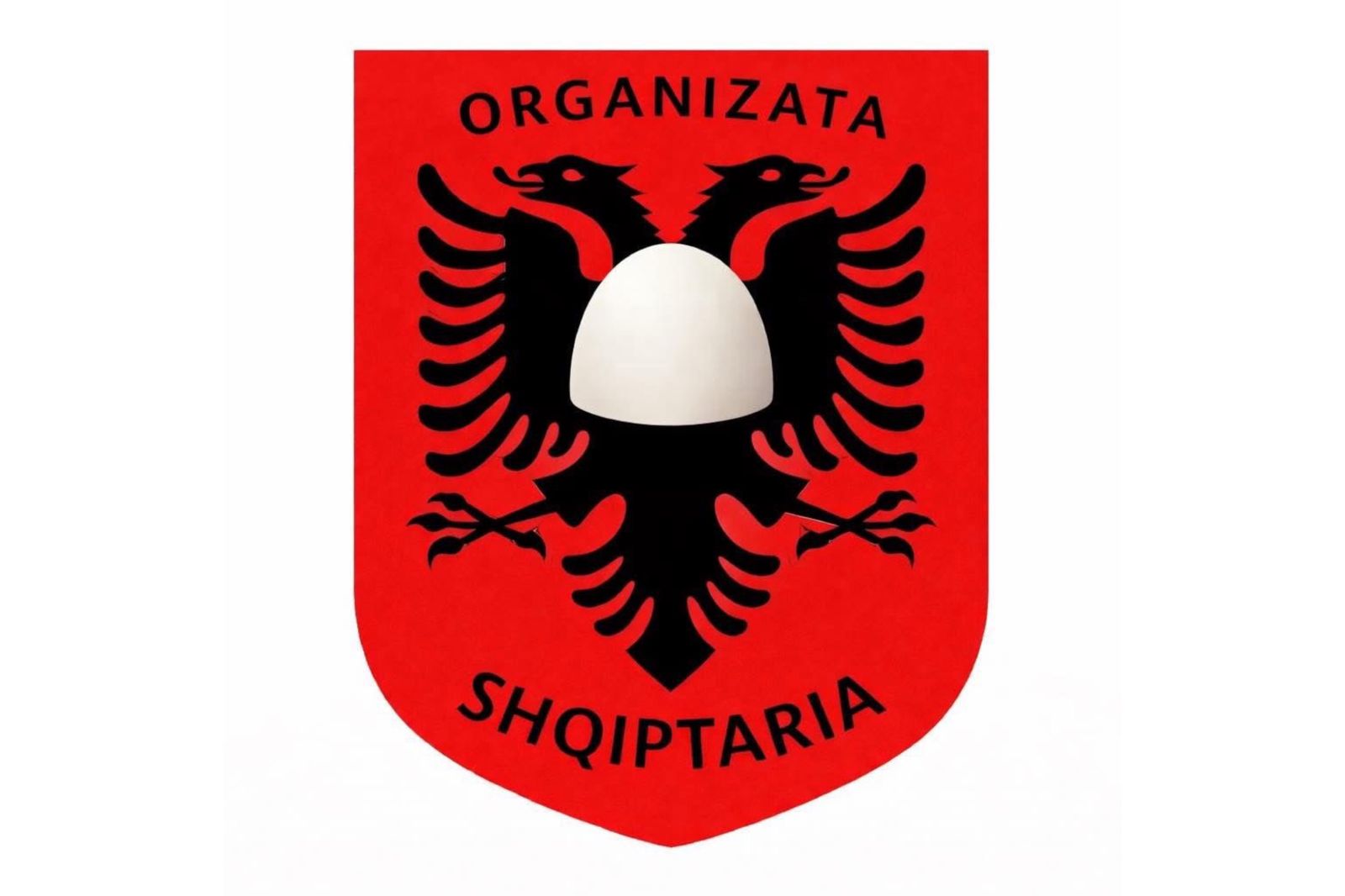 Organizata Shqiptaria i përgjigjet në mënyrë epike komentuesit tendencioz