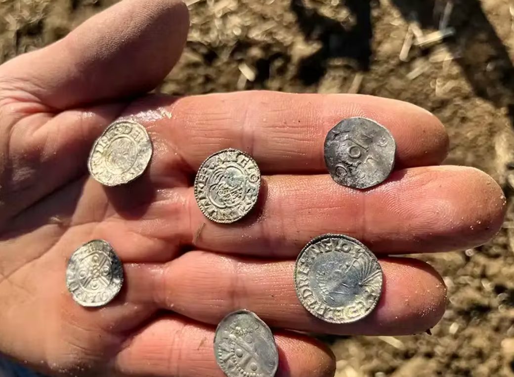 Zbulim sensacional, gjendet thesari më i madh i monedhave të epokës së Vikingëve