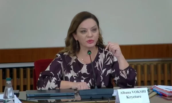 Referendumi për Berishën, mbi 19 mijë anëtarë votuan deri në orën 13:00, pjesëmarrja rreth 37%