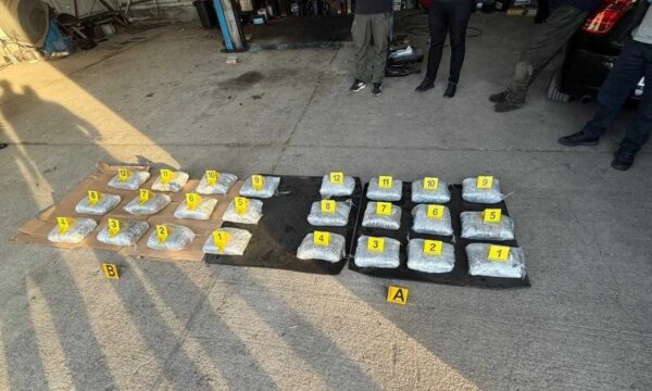 Policia arreston një shtetas të Serbisë dhe dy të Malit të Zi, konfiskon mbi 25 kg marihuanë