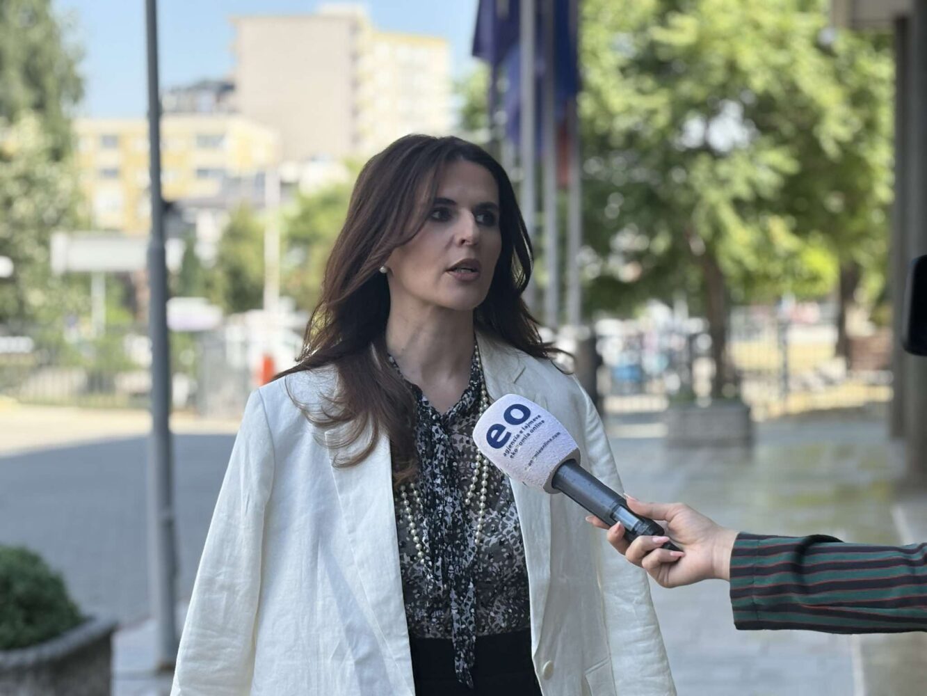 Çitaku: Albin Kurti e gjeti shtetin dhe ushtrinë të ndërtuar, tjerat janë propagandë