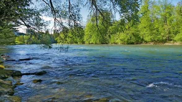 Familja kërkon ndihmë për gjetjen e Tianit 5 vjeçar në Zvicër