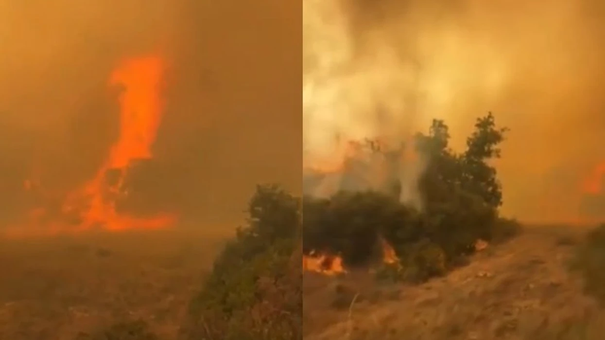 Zjarri i madh në Herbon jashtë kontrollit, evakuohen banorë