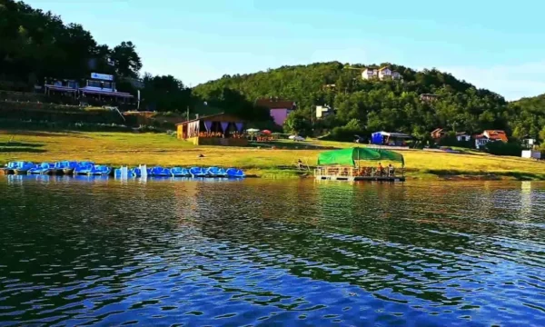 Ndërhyrja e shpejtë e policisë në Batllavë, shpëtohet një fëmijë