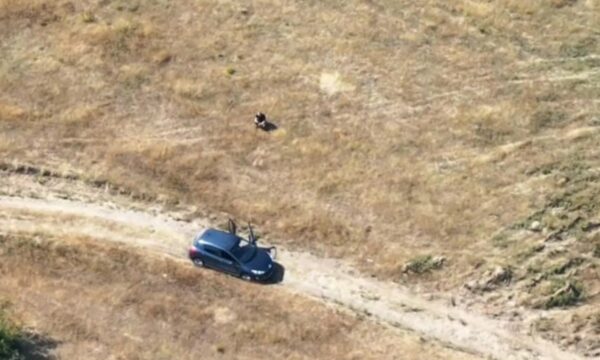 Vrau ish-vjehrrin dhe mori peng të fejuarën, vetëvritet pas disa orësh negociata me policinë Nertil Buzi