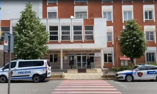 Kultivonte kanabis bashkë me djalin e tij, Prokuroria e Kukësit për 70-vjeçarin: I gjetëm tre parcela me bimë narkotike në banesë