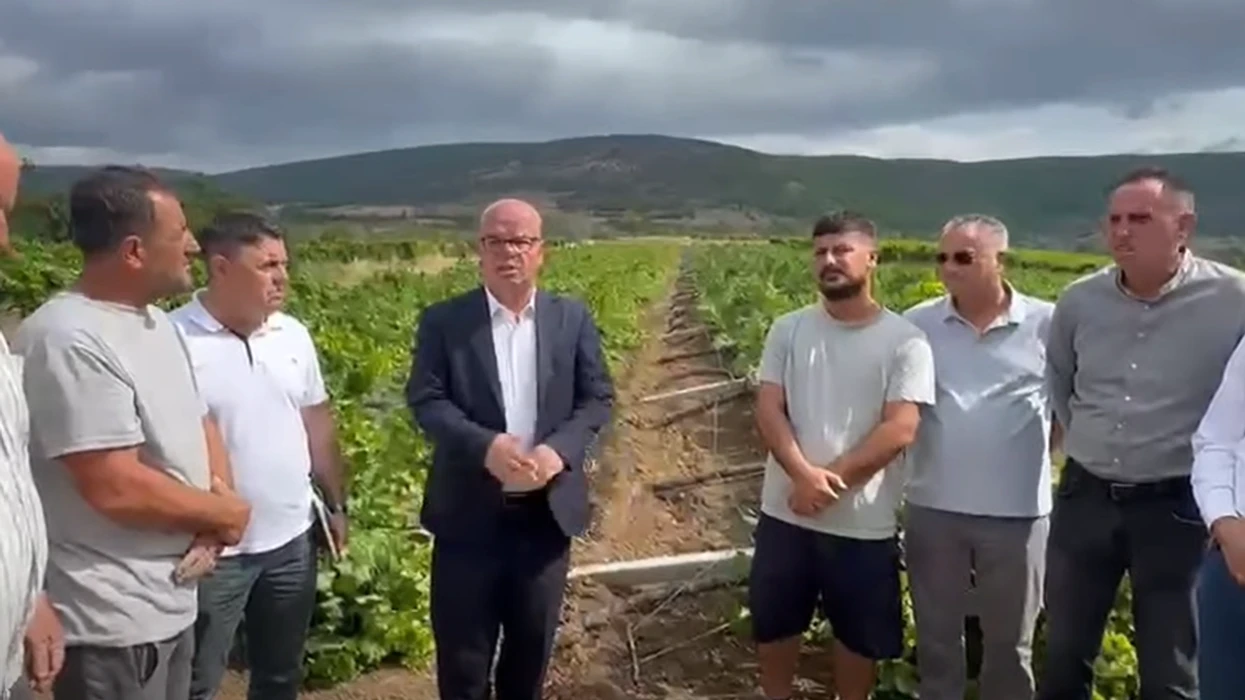 Stuhitë e forta shkaktojnë dëme të mëdha në vreshta dhe prona në Rahovec