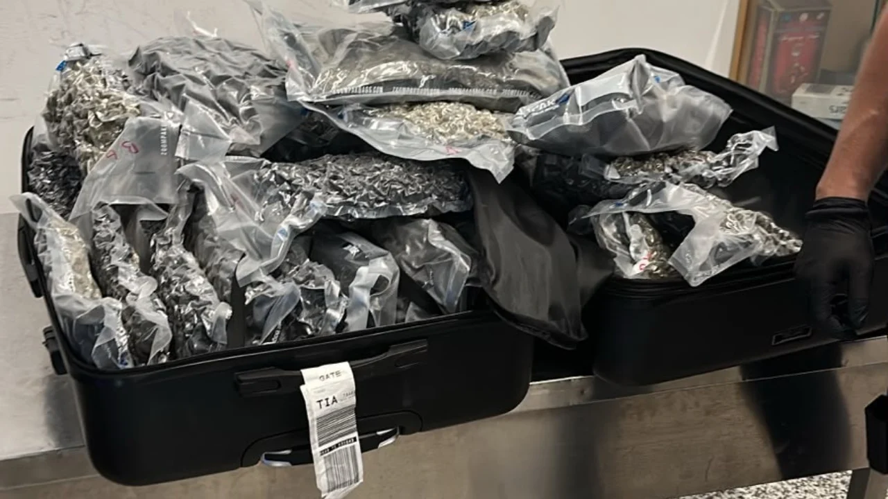 Kapen 46 kilogramë kanabis në Rinas, dy valixhet me drogë vinin nga Toronto