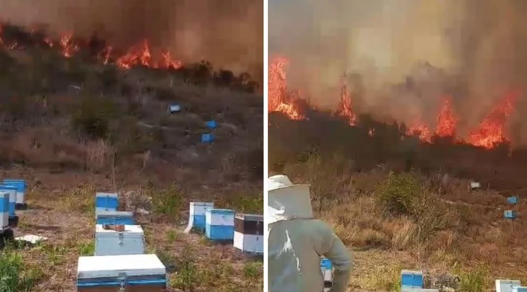 Zjarri i madh në Finiq të Shqipërisë, flakët rrezikojnë banesat në disa fshatra