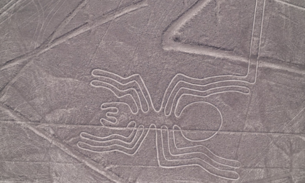 Tragjedi në Peru, avion turistik rrëzohet mbi zonën e njohur arkeologjike, 13 të vdekur