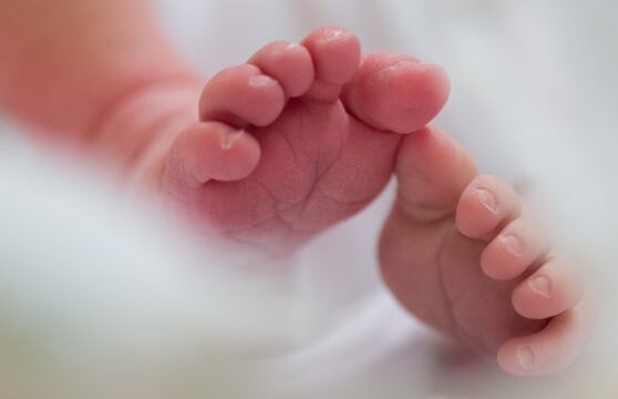 Brenda një javë lindën në QKUK 142 fëmijë, mes tyre binjakë e trenjakë