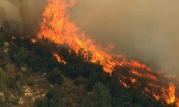 26 raste zjarresh në 24 orë në Shqipëri