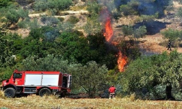 Greqia në alarm: Zjarret vazhdojnë, zjarrfikësit goditen nga vandalët ndërsa shpëtojnë jetë dhe pyje
