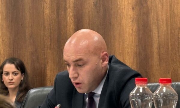 Nënkryetari i Gjykatës në Prishtinë: Departamenti Special me 173 lëndë në punë