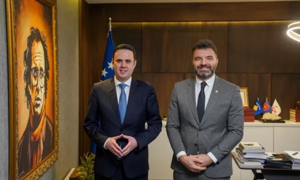 Sadiku: LDK-ja duhet të çlirohet nga komplekset ndaj të kaluarës dhe të krenohet me të