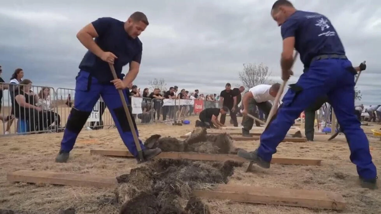 Gara e pazakontë në Hungari, 38 persona sfidohen për të hapur varrin më shpejt