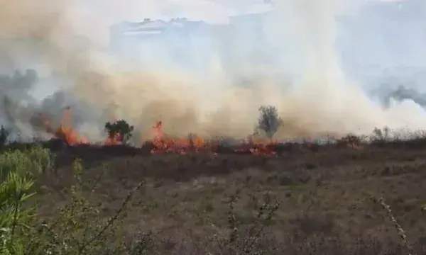 Zjarr në Babicë të Vlorës, flakët rrezikojnë një banesë, ndërhyjnë zjarrfikësit