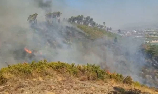 Zjarri vijon prej 24 orësh në Shkodër, flakët përfshijnë kodrat e Bardhajve, dhjetëra forca në terren