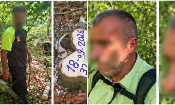 Sulmohet fizikisht roja e pyllit në Shtime gjatë ndërhyrjes ndaj prerjeve të kundërligjshme