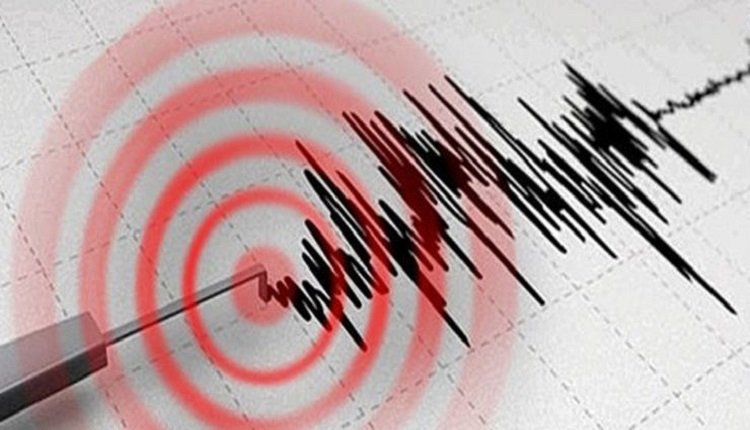 Tërmet me magnitude deri 3.4 godit rajonin pranë Mannheim-it në Gjermani