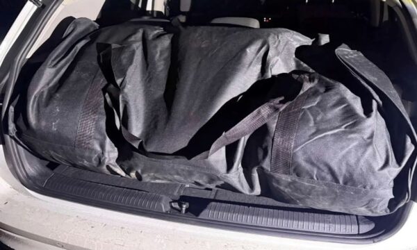 Gjykata në Gjilan ua cakton nga një muaj paraburgim dy të dyshuarve që u kapën me 53 kg marihuanë