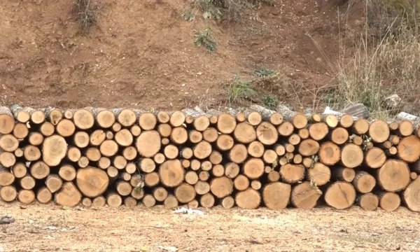 Deri në 70 euro një metër dru