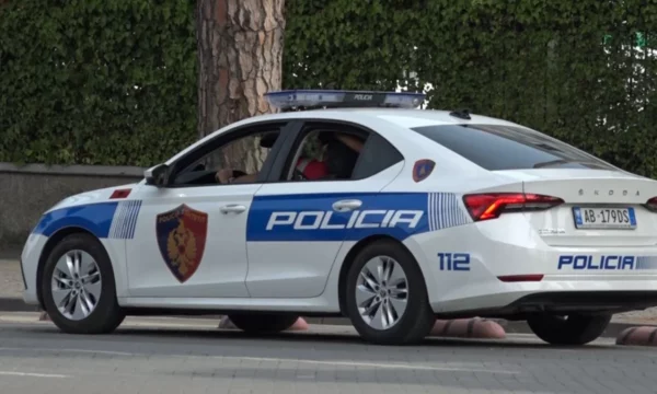 Edukatorja në kopshtin shtetëror të Fierit keqtrajtoi fëmijën 4-vjeçar, nëna e rrah pas ngjarjes